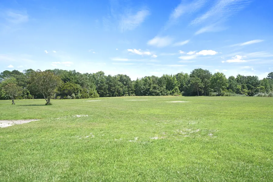 Open field of grass ringed by woods under a blue sky