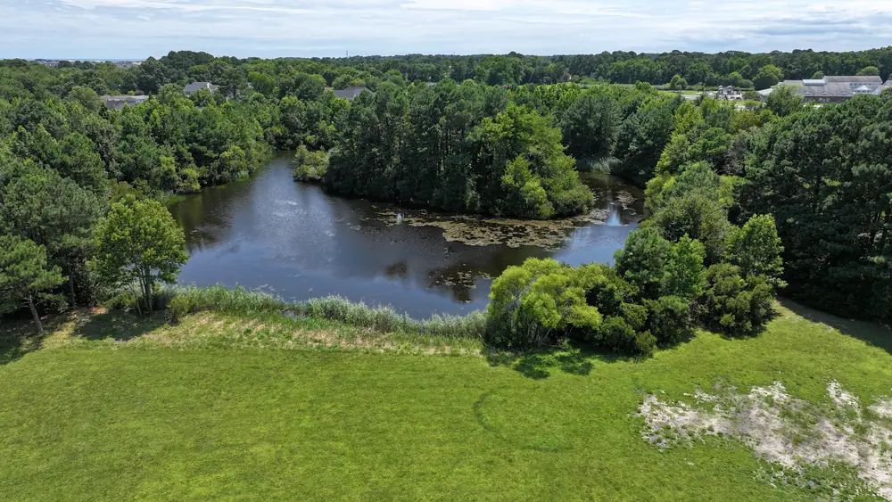 The 3-acre freshwater pond on the estate, ringed by trees